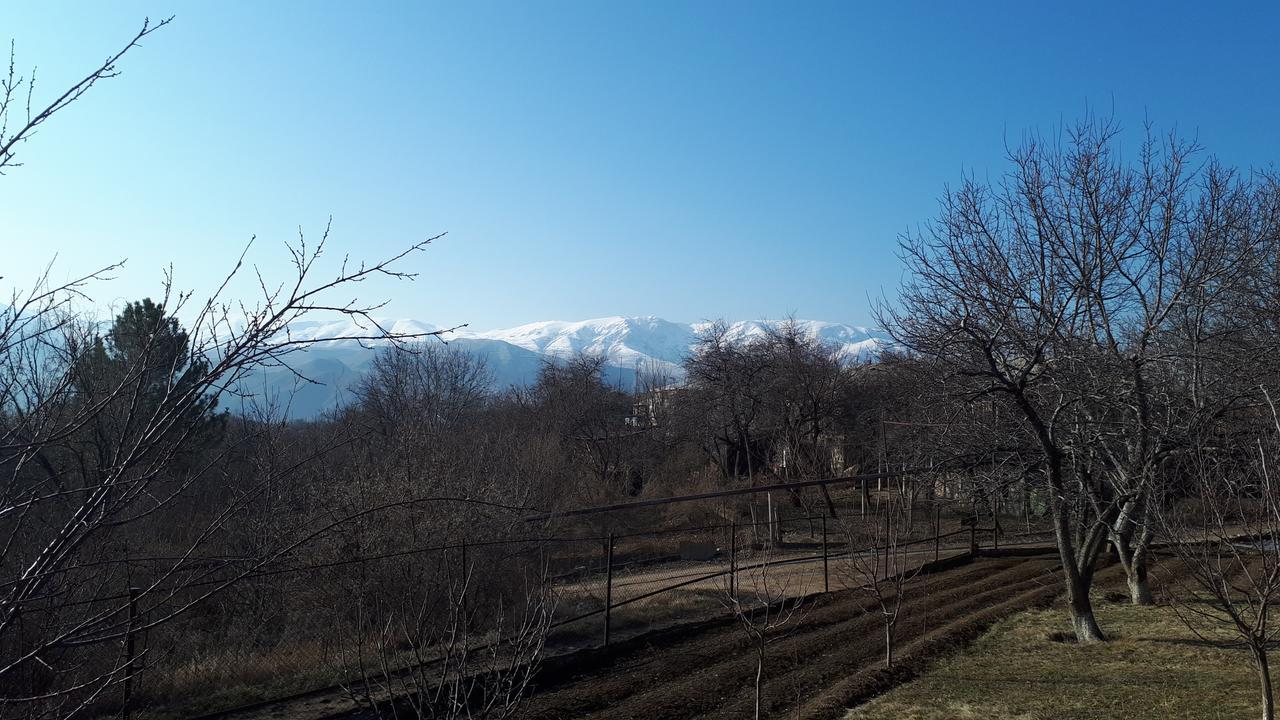 Lusya B&B Yeghegnadzor 外观 照片